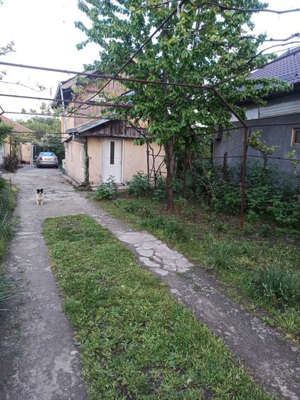 Casă cu 1 camere în Central