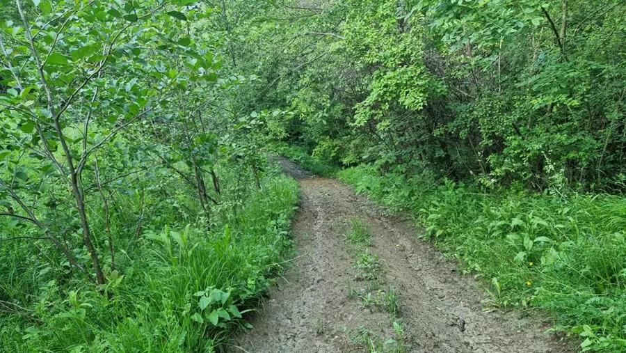 Teren de 5200 mp, în Central