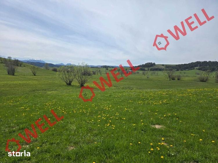 Teren de 6519 mp, în Barcani