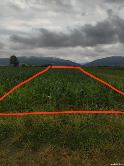 Teren de 2900 mp, în Stupinii Prejmerului
