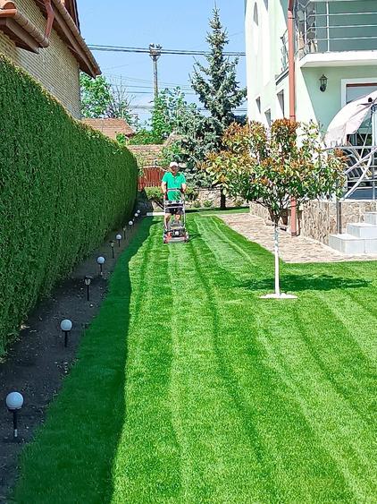 Casă cu Teren 800 Mp în Central