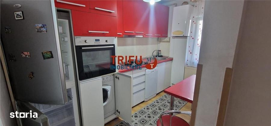 Apartament 3 camere de inchiriat zona Cetate - 8