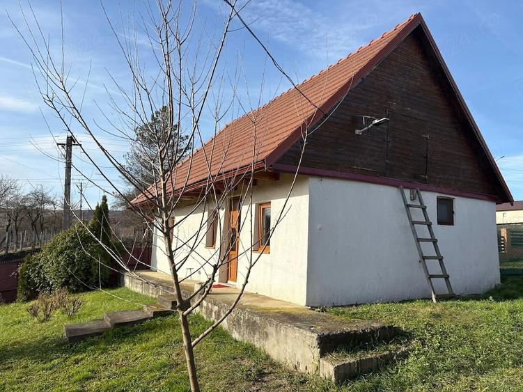 Casa de vanzare - Tirimia, comuna Gheorghe Doja - 8