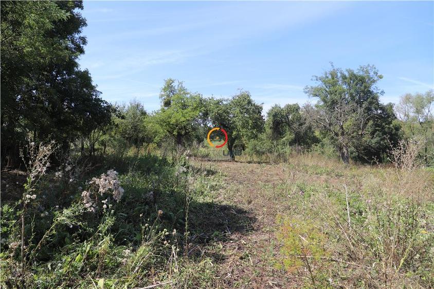 Casă individuală cu 3 camere cu Teren 2556 Mp în Bruiu