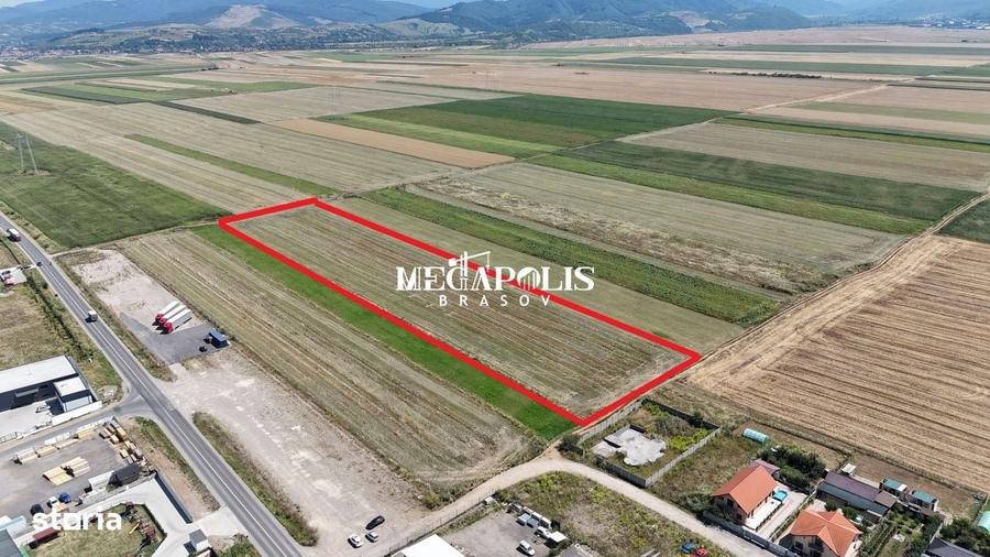 Teren extravilan 10.900 mp, Sacele, vizavi de cartier Izvor - 3