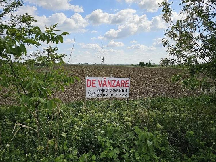 Teren de 2440 mp, în Slătioara