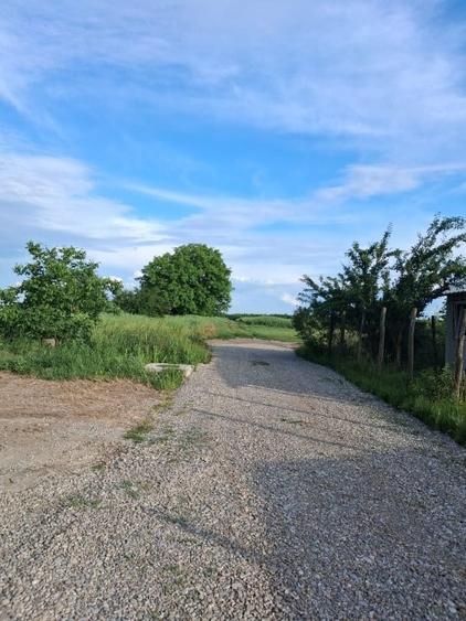 Teren Construcții intravilan de 750 mp, în Sitaru