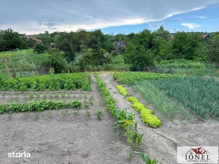 Casă cu 3 camere cu Teren 1100 Mp în Berghin
