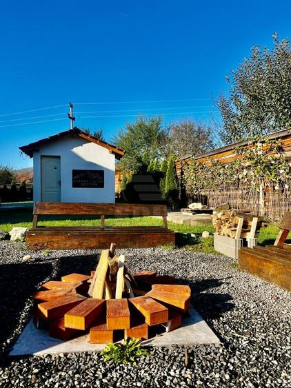 Casă individuală cu 12 camere cu Piscina în Băișoara