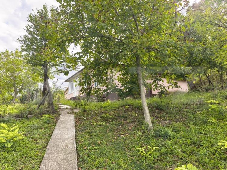 Casă individuală cu 4 camere cu Teren 2982 Mp în Costuleni