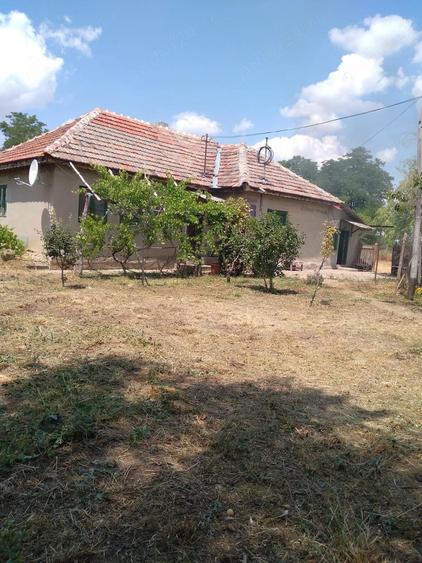 Casă cu 3 camere în Central