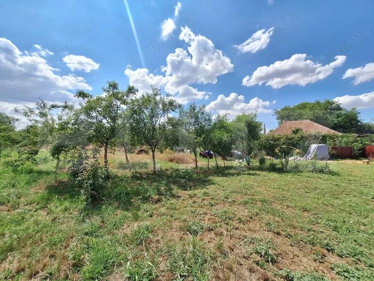 Casă cu 3 camere cu Teren 4600 Mp în Plopi