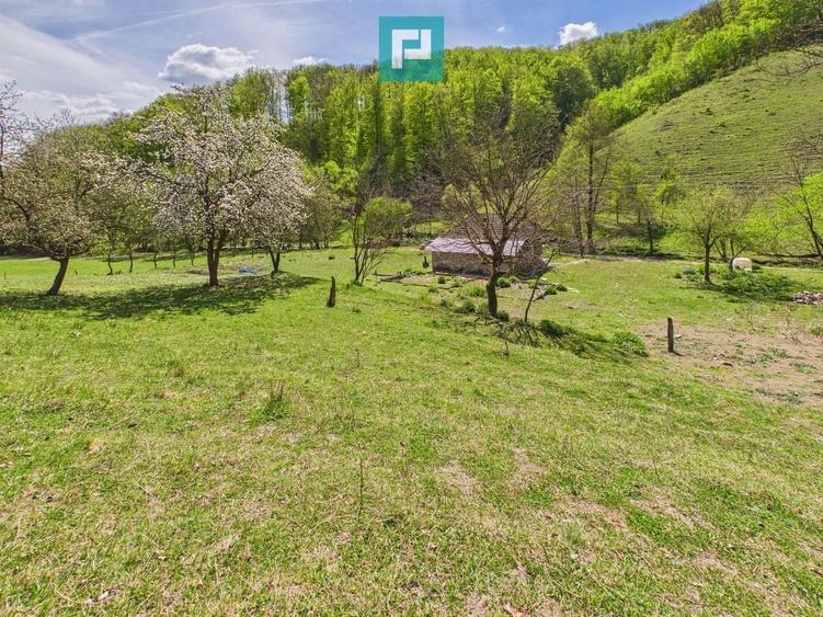 Teren Construcții intravilan de 13199 mp, în Luncoiu de Jos