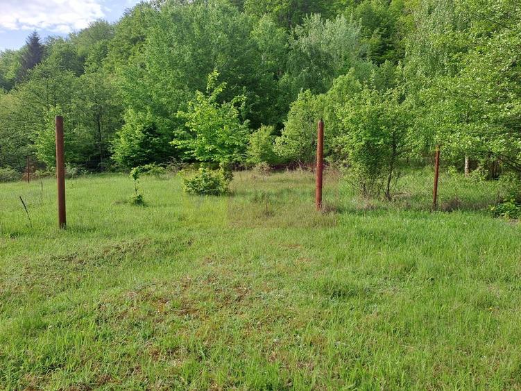 Teren Construcții extravilan de 834 mp, în Berevoești