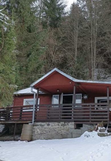 Cabana de vanzare in Stanceni Negra - 1
