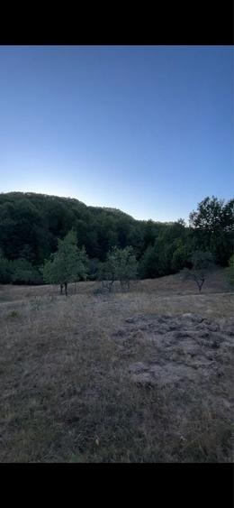 VAND TEREN 8967/MP, Barsana, Maramures - 8