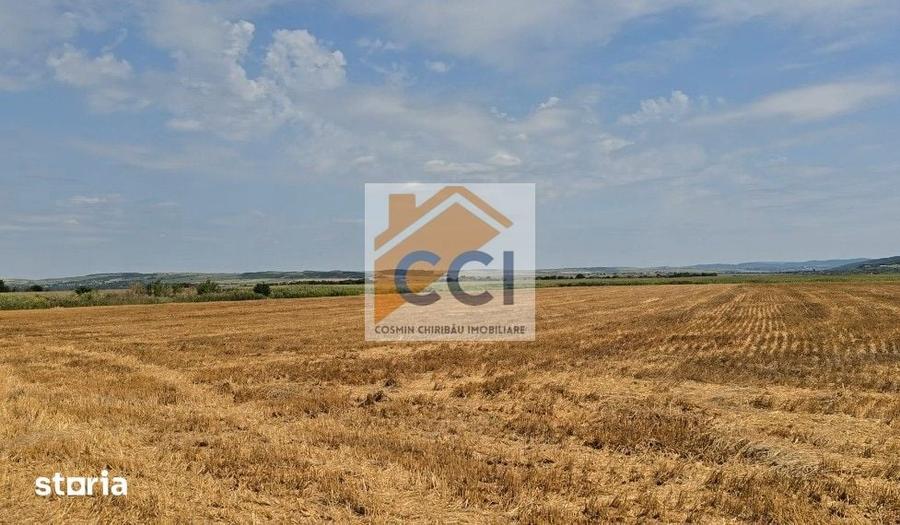 Teren de 50000 mp, în Letea Veche
