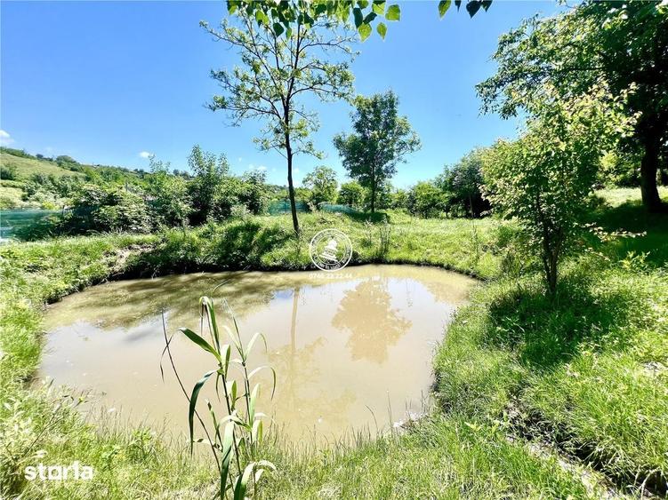 Casă cu 2 camere cu Teren 950 Mp în Probota