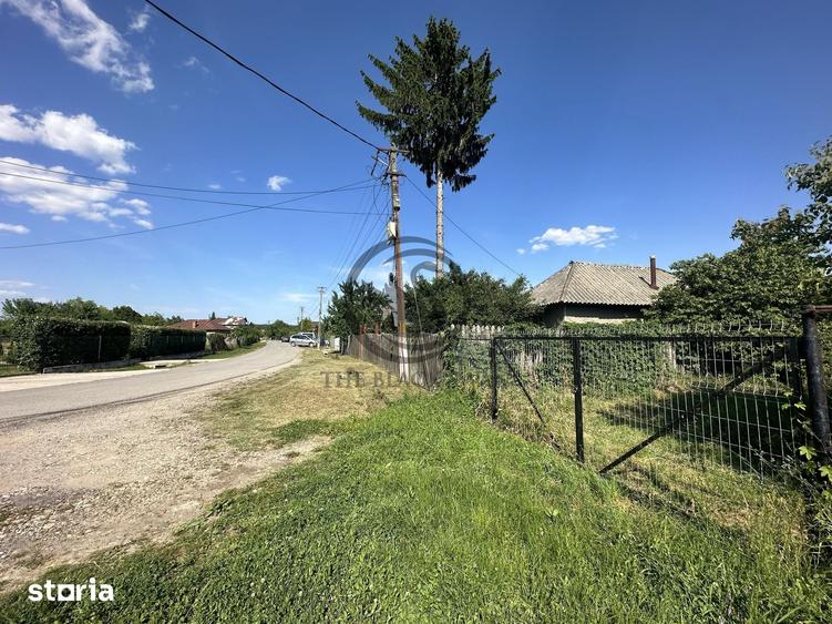 Teren de 11000 mp, în I. L. Caragiale