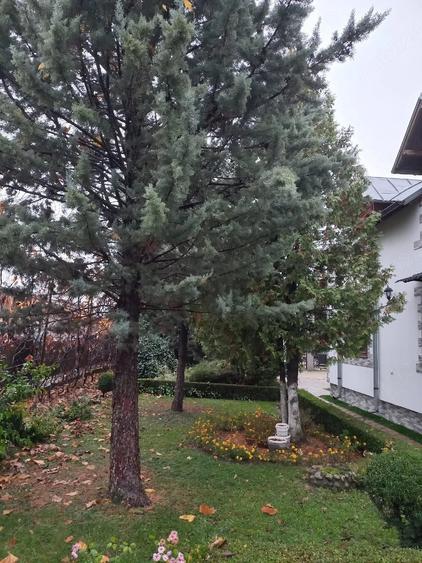 Casă cu 6 camere cu Teren 900 Mp în Pucioasa