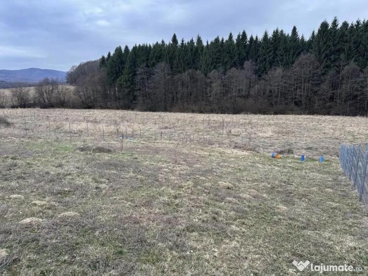 Teren de vanzare 1030m2, intravilan - Jud. Bra?ov - 5