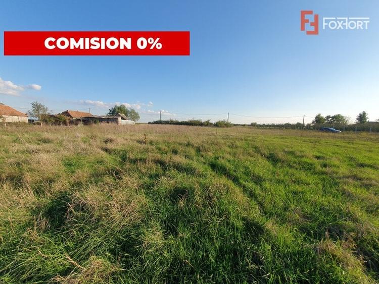 Teren Construcții intravilan de 3346 mp, în Jebel