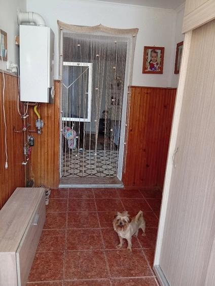 Casă cu 2 camere cu Teren 165 Mp în Central