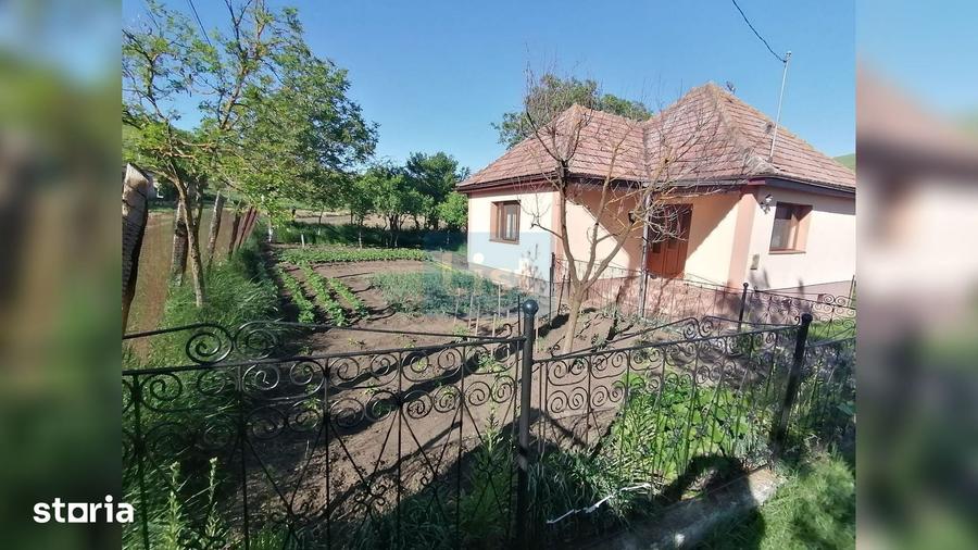 Casă cu 2 camere cu Teren 7000 Mp în Central