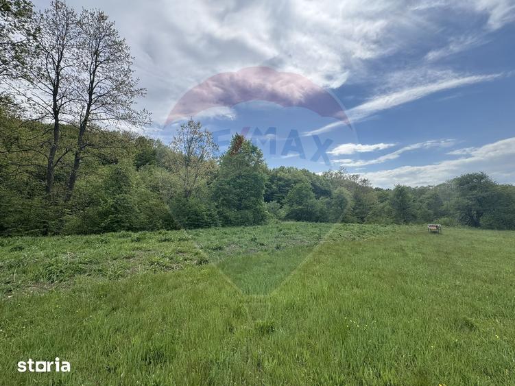 Casă cu 4 camere cu Teren 57600 Mp în Zimbor