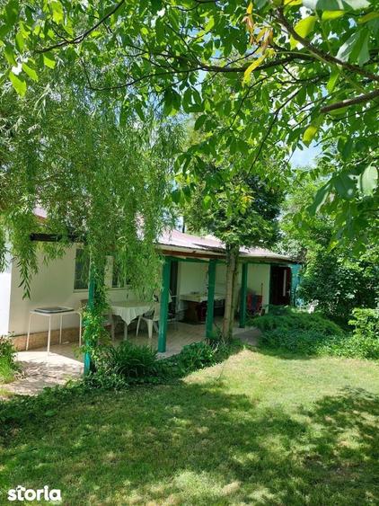 Casa 3 camere Parter Giurgiu Com Bucsani - 3