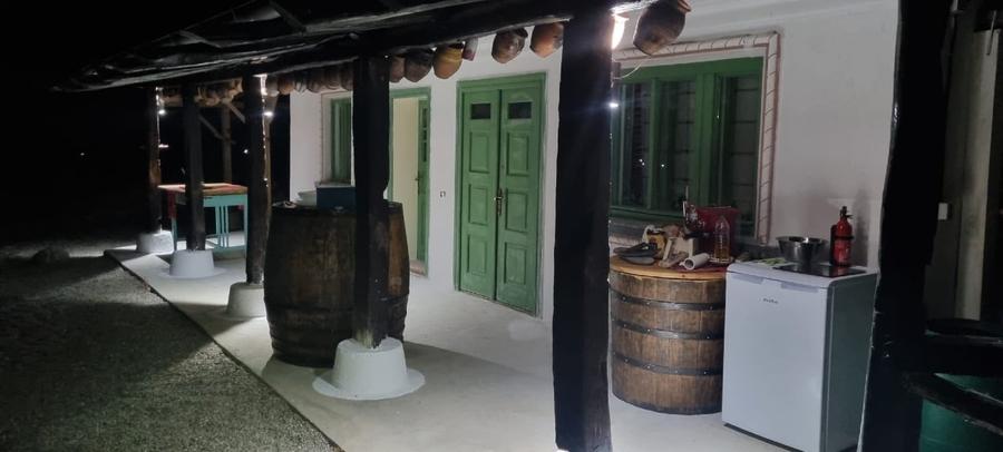 Casă individuală cu 5 camere cu Teren 9000 Mp în Valea lui Enache