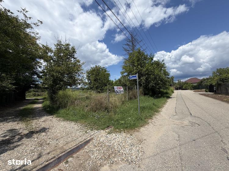 Teren de 6934 mp, în Țițești
