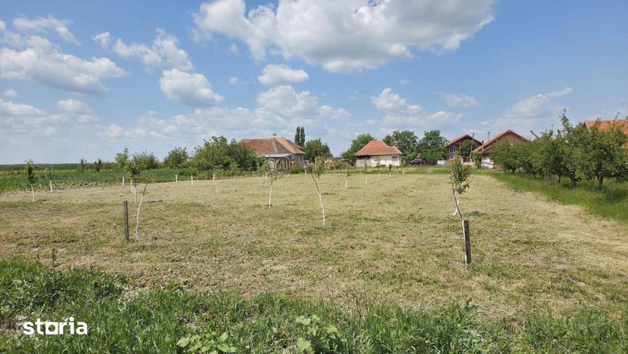 Casa cu teren de 40 ari in localitatea Gelu - 4
