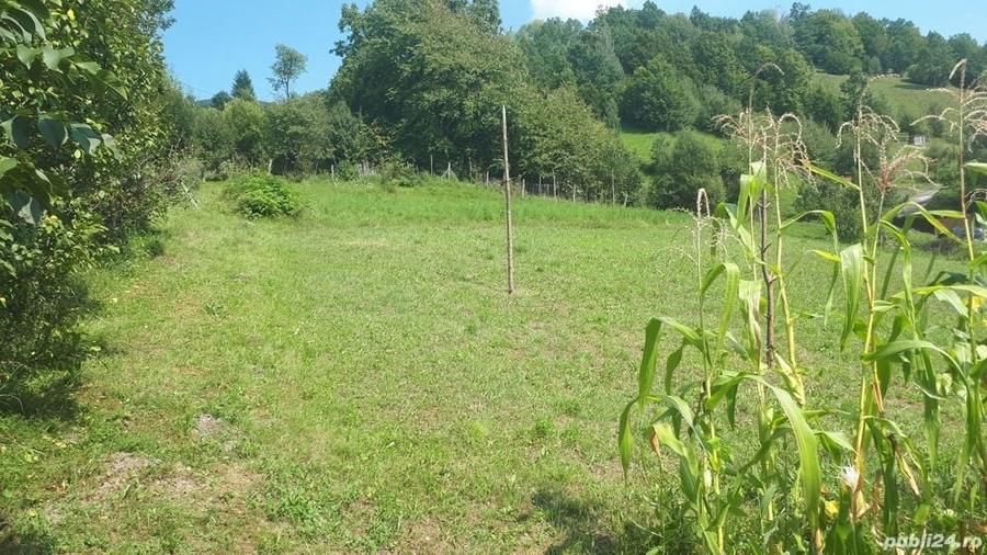 Teren de 2000 mp, în Hangu