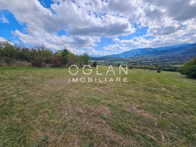 Teren Construcții intravilan de 3500 mp, în Turnișor