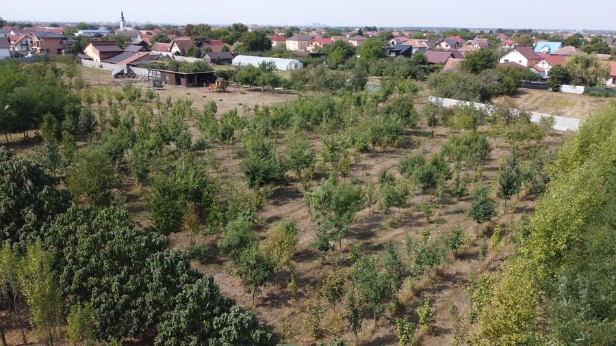 Teren Construcții intravilan de 1786 mp, în Moșnița Veche