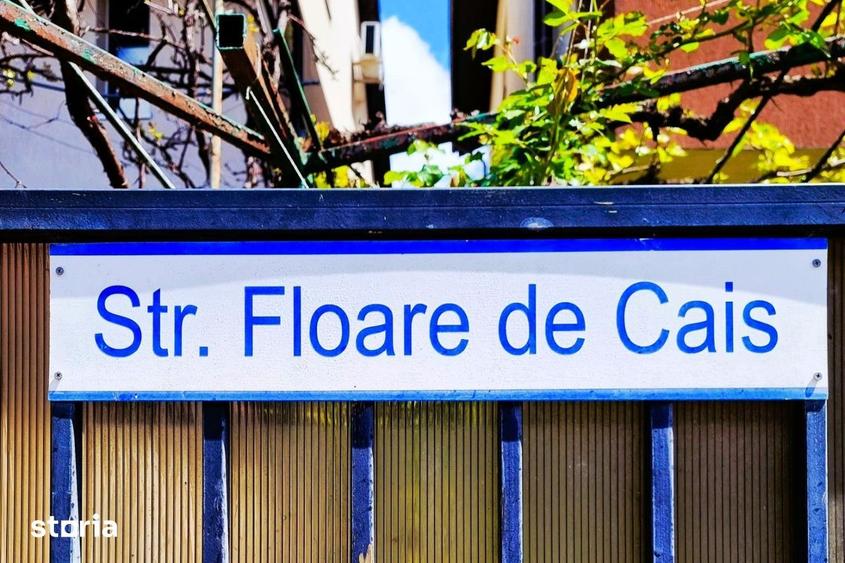 Apartament cu 4 camere decomandat în Vest