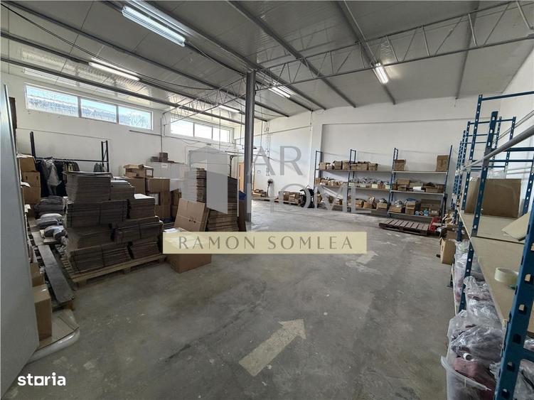 Vanzare Hala si teren industrial in Paulestii noi , Prahova - 14
