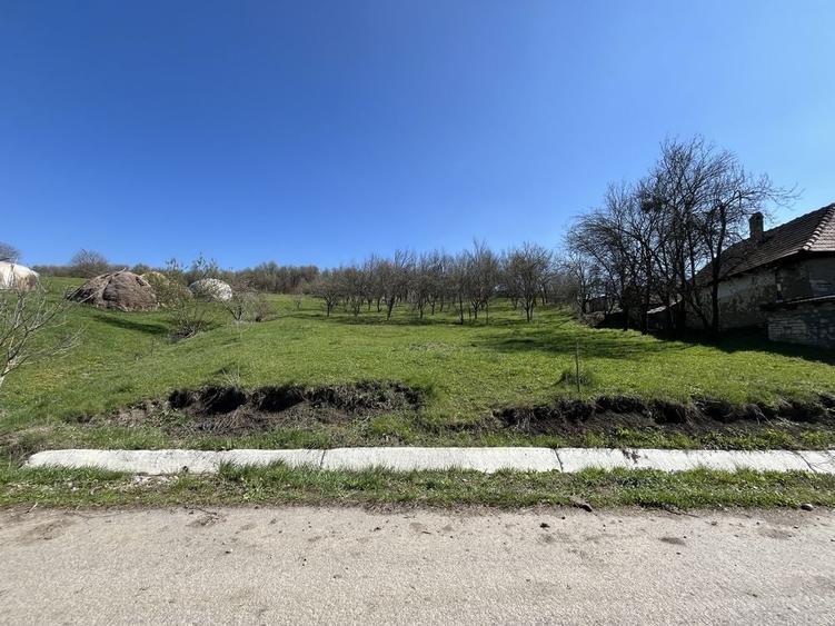 Teren de 2250 mp, în Aluniș