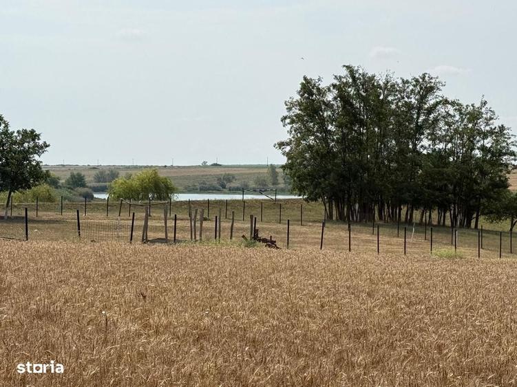 Teren intravilan Miersig, vedere la lac. 12,5 E/mp neg. Comision 0 - 4