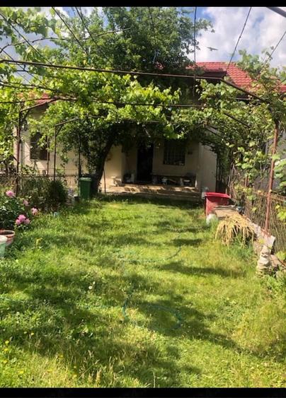 Casă cu Teren 4800 Mp în Central