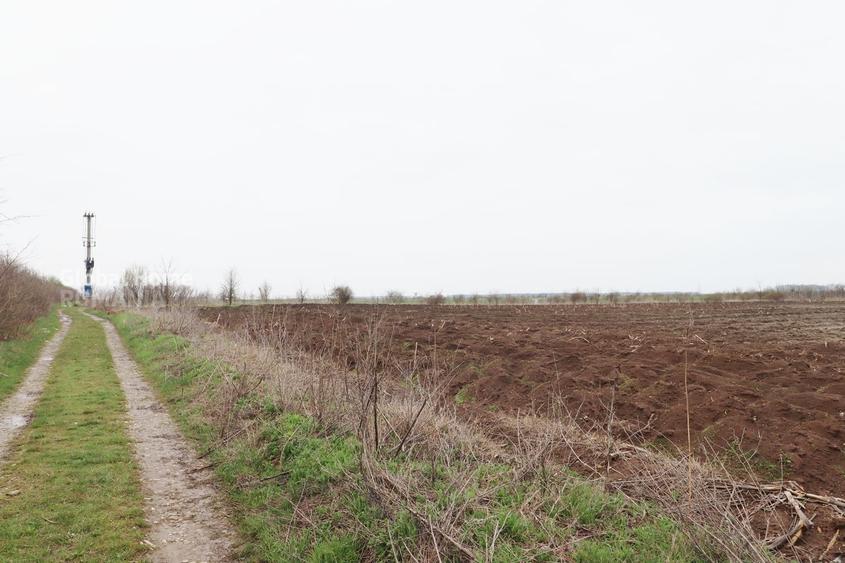 Teren agricol extravilan de 4000 mp, în Corbeanca