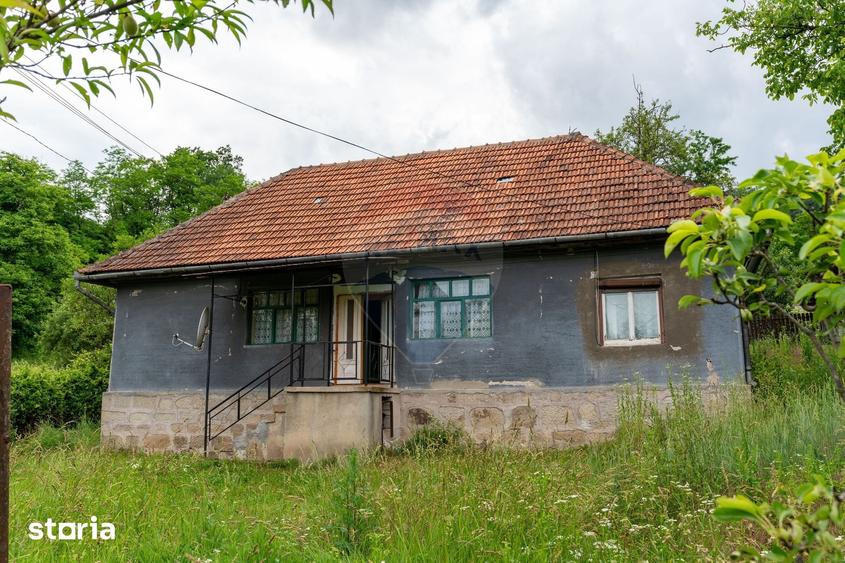 Casă cu 6 camere cu Teren 2143 Mp în Ribița