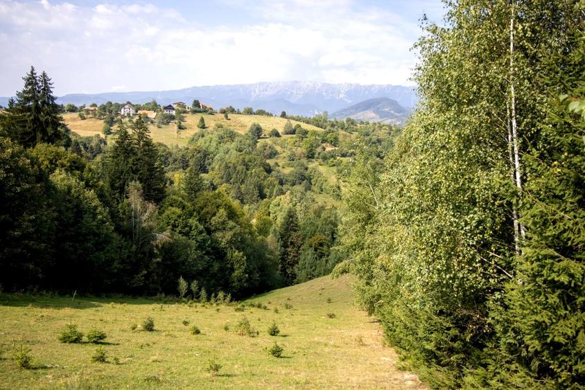 Teren Construcții extravilan de 10131 mp, în Bran