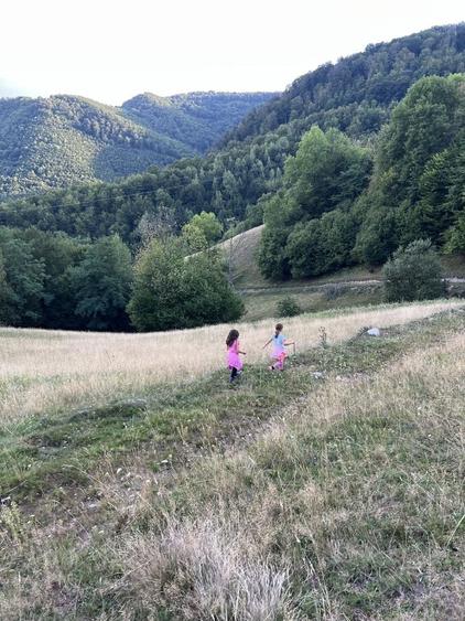 Casă cu 4 camere cu Teren 9000 Mp în Săcuieu