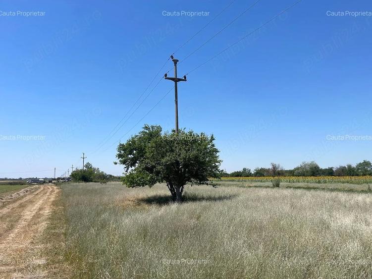 Teren de 612 mp, în Tărtășești