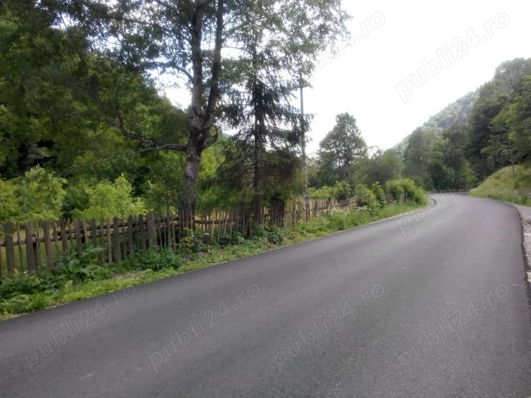 Teren de 3000 mp, în Cazaci