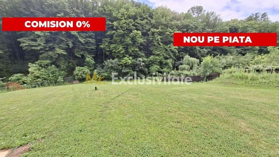 Teren intravilan 1203 mp Bascov-Florea zona Superba - 4