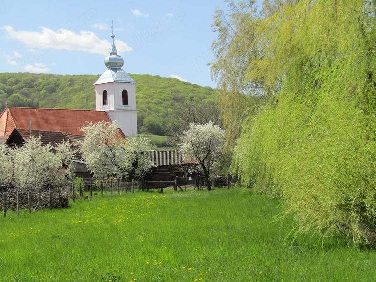 Teren de 3300 mp, în Boroșneu Mic