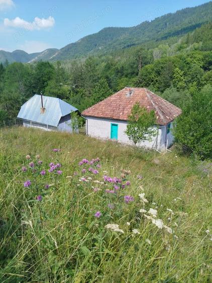 Casă cu 3 camere cu Teren 7800 Mp în Vadu Oii
